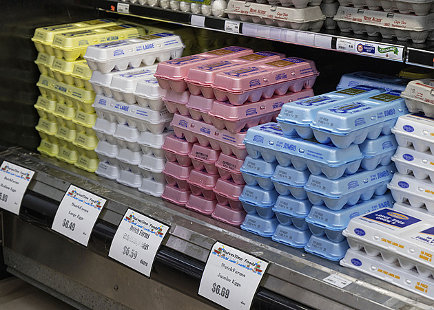Salmonela v USA znovu útočí. Podezřelá vejce obchodníci stahují z prodeje