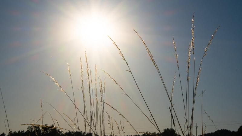 Sledujte RADAR: Slunečný závěr týdne i zajímavý úkaz na obloze. Počasí se změní ve středu