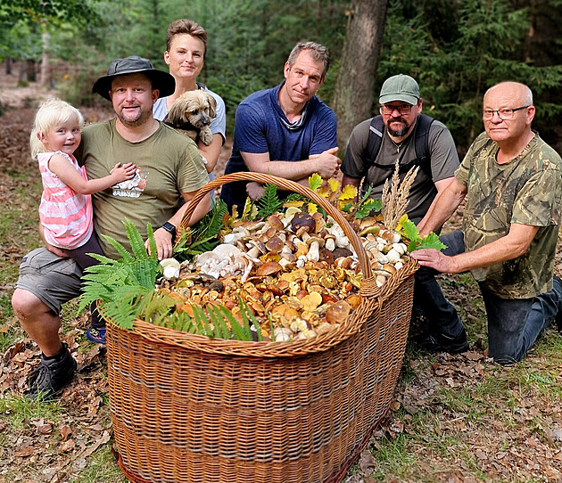VIDEA TÝDNE: Obří koš plný hub, Dozimetr před soudem a krvavá řež v autobusu