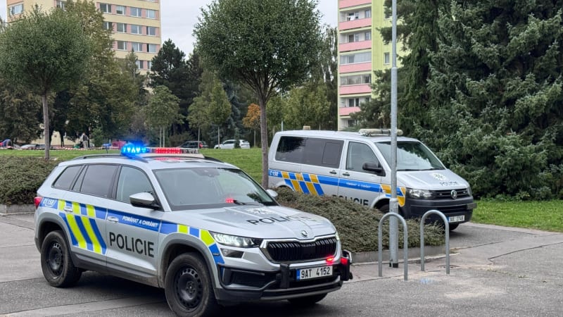 Policisté pátrali po muži, který v pražském bytě pobodal ženu. Dopadli jej v Karlíně