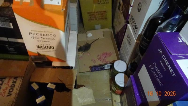 Mrtvý hlodavec a myší trus mezi potravinami. Obchod v centru musí zavřít a zaplatí pokutu