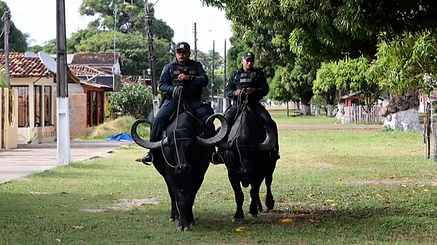 VIDEO: Vzor udržitelné dopravy? Na brazilském ostrově jezdí policisté na buvolech