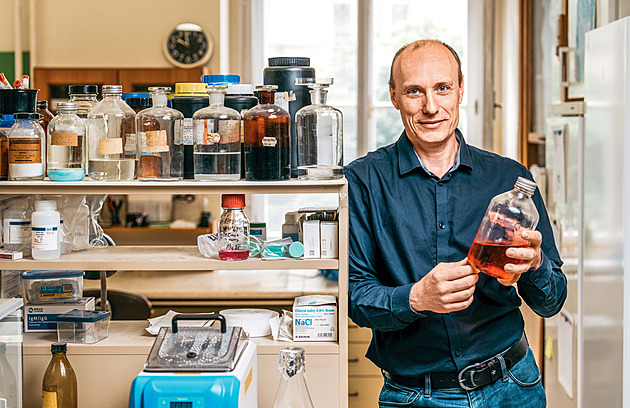 Chystat si darovanou stolici doma v mixéru je risk. Lékař nejen o střevním mikrobiomu