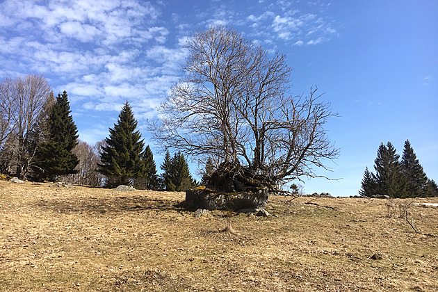 Rekreační areál na Šumavě. Spolek chce mít větší váhu při rozhodnutí o povolení
