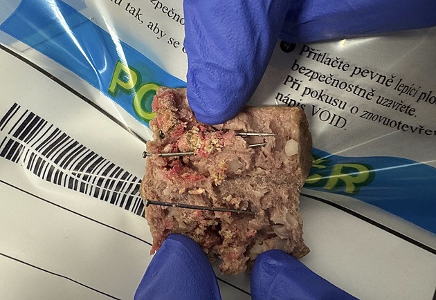 Pes sežral uzeniny se zapíchanými hřebíky a neznámou látkou, udělalo se mu zle