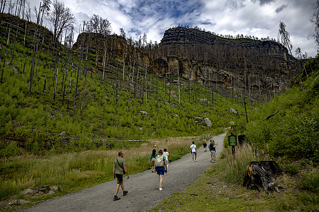 Nová stezka spojuje České a Saské Švýcarsko, vede z Hřenska do Schmilky