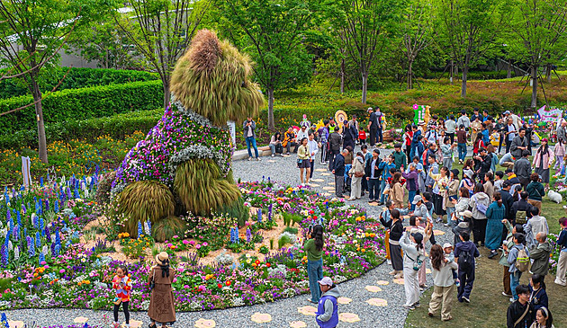 Šanghaj pobláznil chlupáč. Pětimetrový květinový teriér je virálním hitem