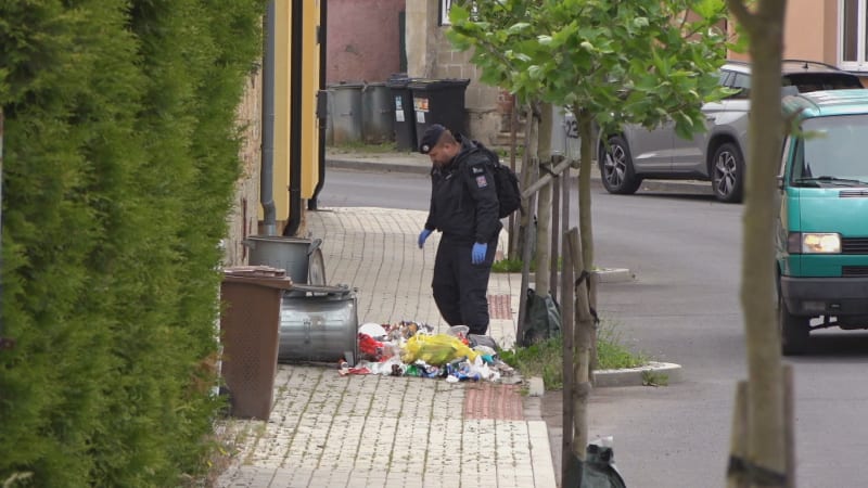 Další detaily v případu mrtvého dítěte v Kynšperku: Zbytek těla měla žena předhodit psům