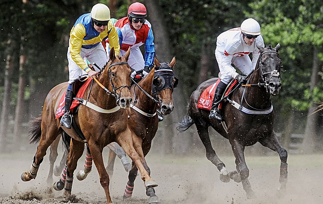 Čtvrtá kvalifikace na Velkou pardubickou: Program, výsledky, vstupenky