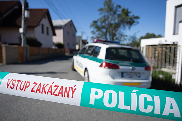 Mladík na Slovensku vyhrožoval dětem sekerou. Hrozil, že přijde i do školy