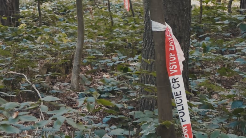 Tragické zmizení maminky z Frýdku-Místku: Policie řeší více podnětů. Promluvila o případu